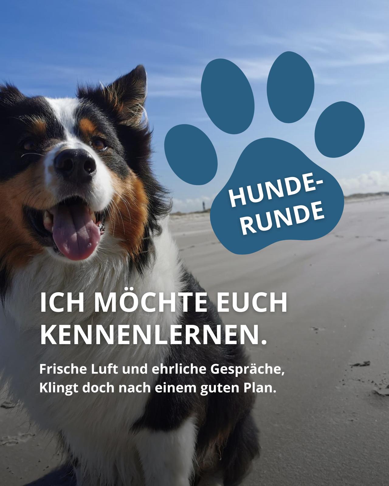 Hunderunde mit Carsten Kölling
